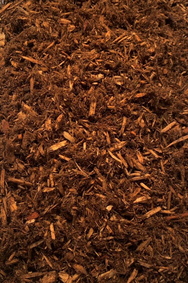 Grade A Cedar - Image 3