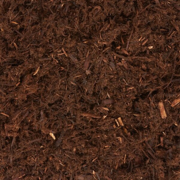 Grade A Cedar - Image 2