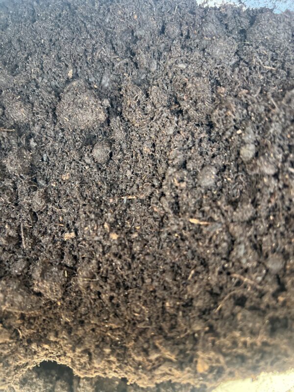 "The Cow" Manure - Image 2