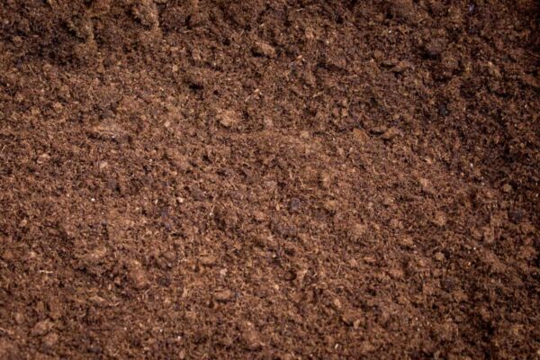 Sphagnum Peat - Image 2